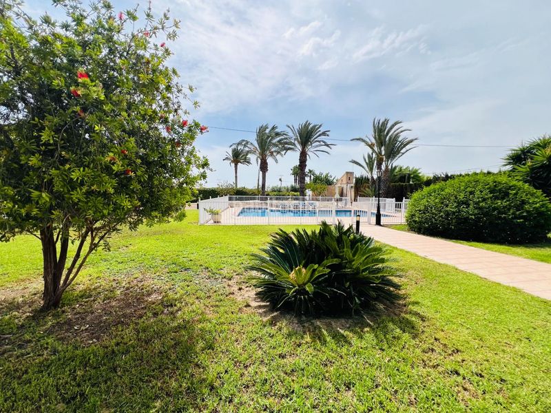 Foto fe4eb3c3-608f-4fb7-aa11-269c351e56ba. Xalet amb aparcament piscina a Perleta - Maitino Elche / Elx