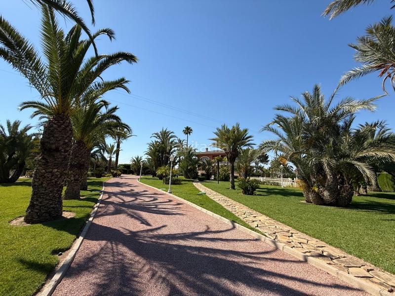 Foto 203e4081-5916-49e5-bc76-ba2e3c9d39fa. Chalet with heating parking pool in Valverde Elche / Elx