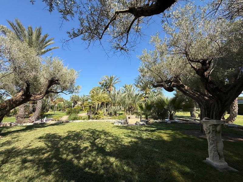 Foto 429dd5b3-df47-4f00-b76d-d1fcf00ab035. Chalet with heating parking pool in Valverde Elche / Elx