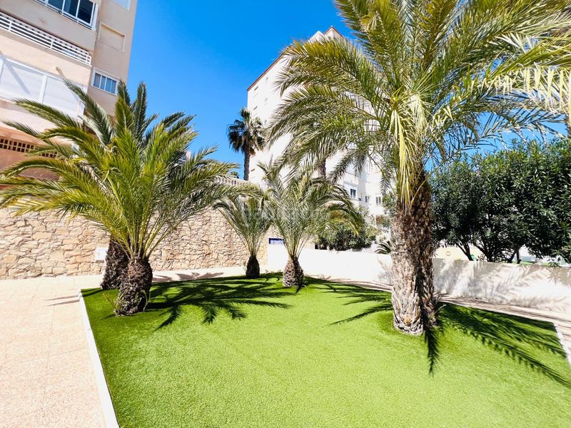 Foto 46ac7f43-c1c8-43a9-b58f-72d24dfc0d81. Apartament amb aparcament piscina a Los Arenales del Sol Elche / Elx