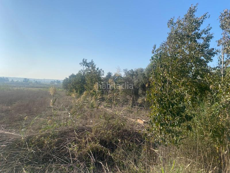 Foto 107342b6-3d9c-4237-b4e2-01fbfd414350. Propriété dans Noroeste Santa Pola