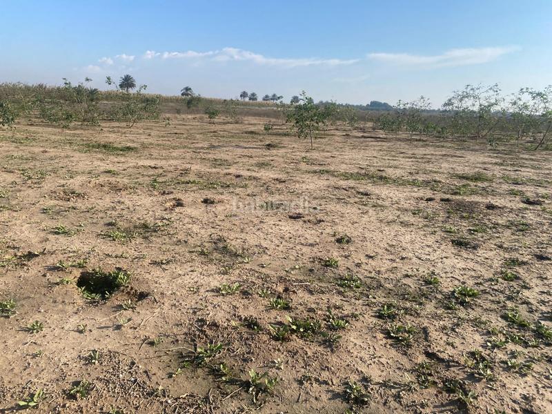 Foto 3d855028-072c-4f5d-a13a-0fc0e41a810a. Propriété dans Noroeste Santa Pola