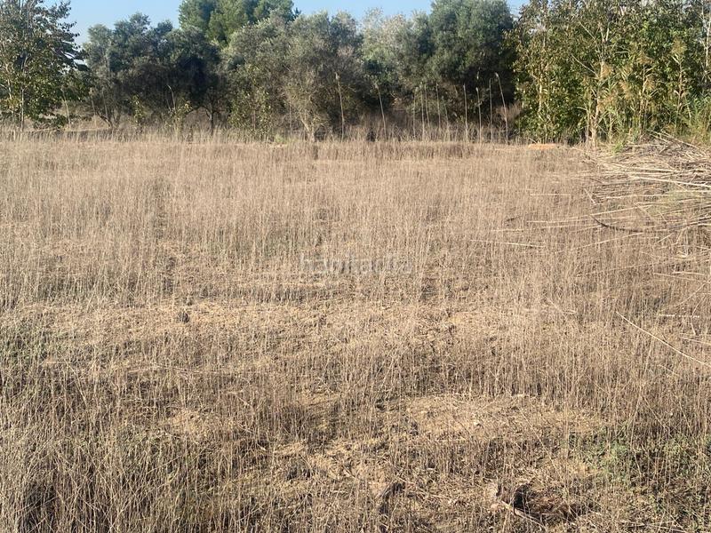 Foto 5fb8c5d9-92a1-4734-887b-a65d1a5ca31d. Propriété dans Noroeste Santa Pola