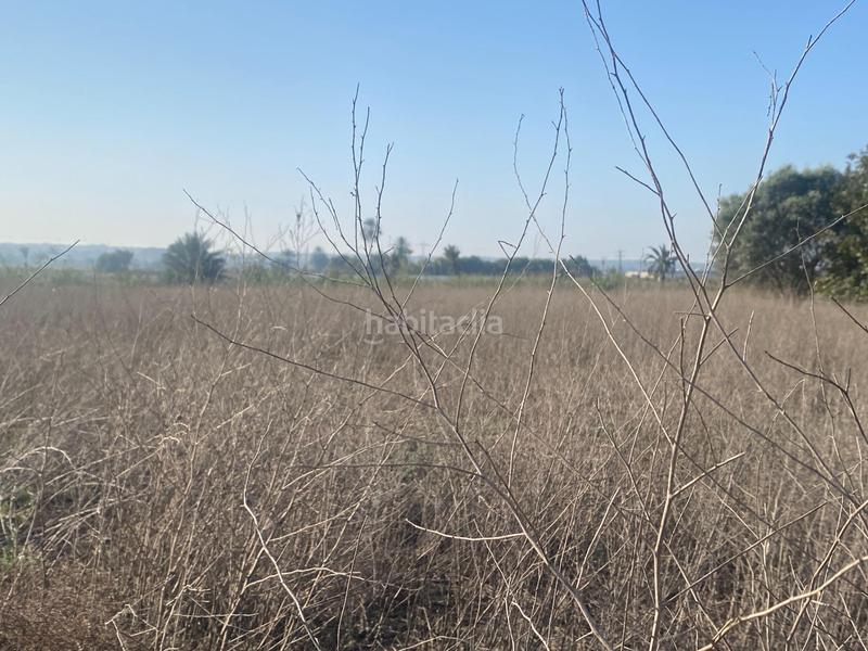 Foto 61f16921-0ce2-43c0-90c5-e34593f01d91. Propriété dans Noroeste Santa Pola