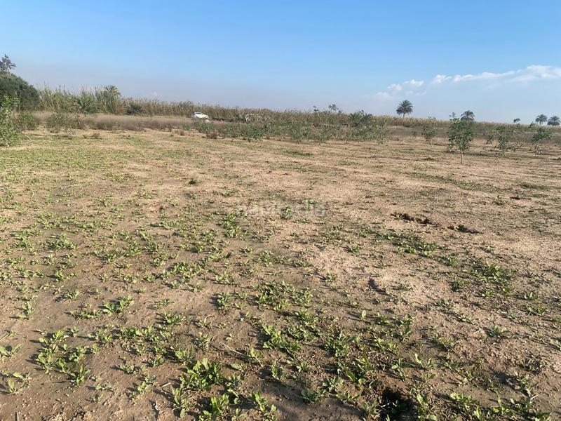 Foto 72b39743-90f1-4850-b179-ebb414b0f224. Propriété dans Noroeste Santa Pola