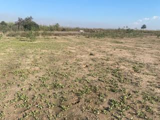 Rural plot in Noroeste. Terreno rural 7500 metros junto al molar