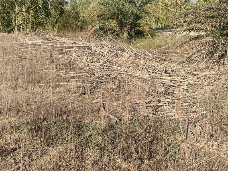 Foto cc05a90f-d6ae-4d2f-bdd0-ff7a60efdc50. Propriété dans Noroeste Santa Pola