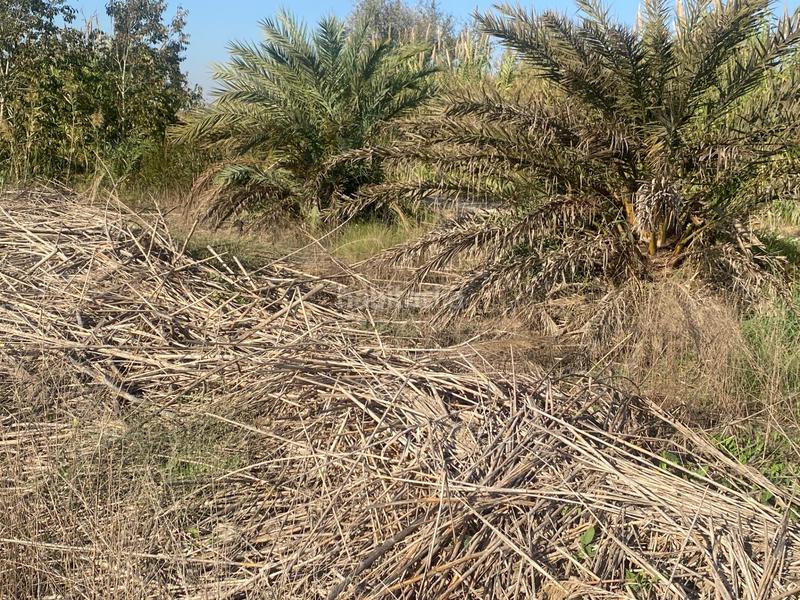 Foto f0330f3f-f607-4340-9939-fabef9df71ef. Propriété dans Noroeste Santa Pola