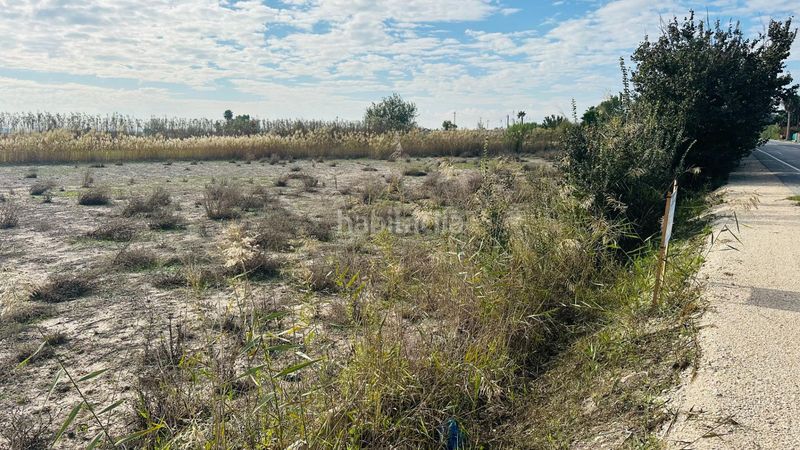 Foto a6c207e2-0f96-4689-a816-7f48c8ff66eb. Finca rústica a La Marina Elche / Elx
