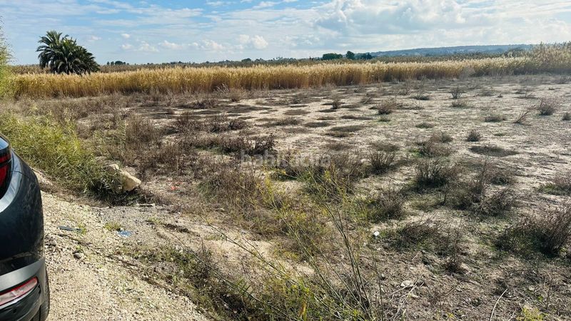 Foto f6372956-5e43-4a5e-a790-97e7f6d12de0. Finca rústica a La Marina Elche / Elx