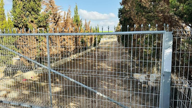 Foto 38f44992-5181-4719-9ca9-a46f8865bae8. Propriété dans plaza de castilla dans Jubalcoi Elche / Elx