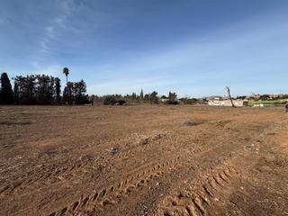 Finca rústica a Plaza de castilla. Descubre tu oasis privado en altabix!