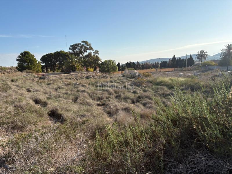 Foto d9e3f66f-1252-4dab-a9a3-4a030e2379d5. Terreno residencial en bacarot 63 terrenos rustico para construir en bacarot en Alicante