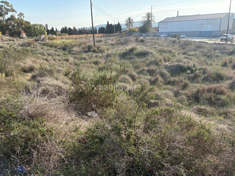 Foto e15cd213-1608-4526-bd3e-ff813bee37d5. Terreno residencial en bacarot 63 terrenos rustico para construir en bacarot en Alicante