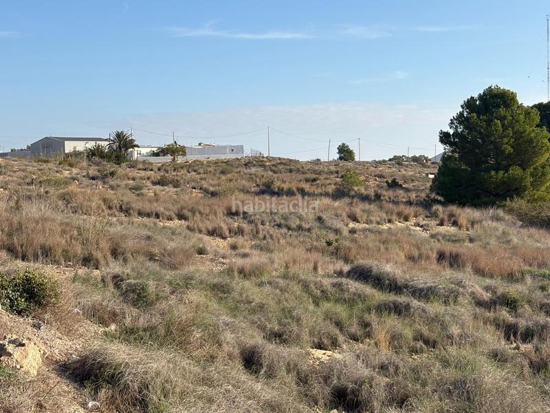 Foto ec1bf967-e7da-4f34-89cc-7e4ffc012033. Terreno residencial en bacarot 63 terrenos rustico para construir en bacarot en Alicante