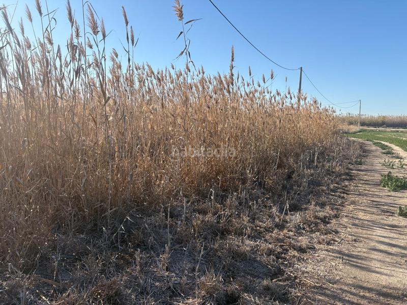 Foto 27264be3-d246-40c6-865d-b1d466df8877. Propriété dans Algorós - El Derramador Elche / Elx