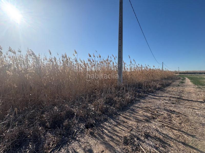 Foto 3f2321f0-d1b6-4077-9424-b65675019337. Propriété dans Algorós - El Derramador Elche / Elx