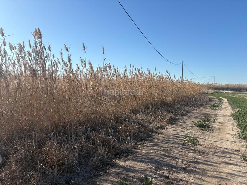 Foto 5aedf0b6-71b5-44ef-8b37-fde62374394b. Propriété dans Algorós - El Derramador Elche / Elx