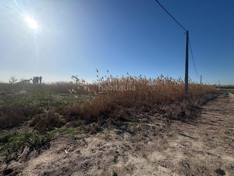 Foto 8aa95138-0093-4664-b8d5-1d7d4e476bb5. Propriété dans Algorós - El Derramador Elche / Elx