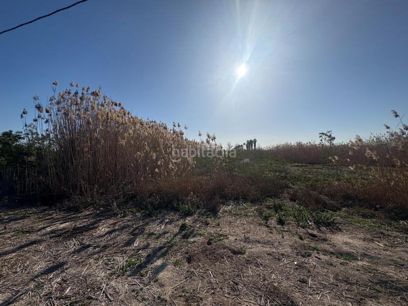 Foto cf330032-6749-49d5-ac67-32be3776f2be. Propriété dans Algorós - El Derramador Elche / Elx