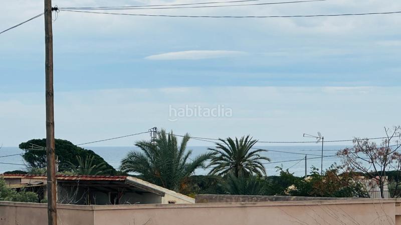 Foto 3ca815a9-667e-4af8-bf87-994c3539b300. Finca rústica a La Marina Elche / Elx