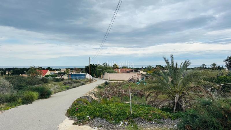 Foto 6e3b3abf-3b87-4932-a6a8-835b9a4e6497. Finca rústica a La Marina Elche / Elx