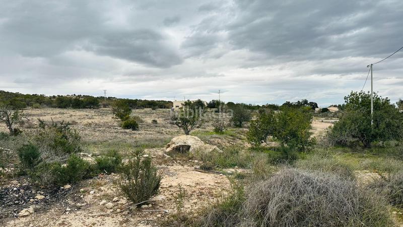 Foto 6fb39155-27fa-4b4d-b782-2b3da191b27e. Finca rústica a La Marina Elche / Elx