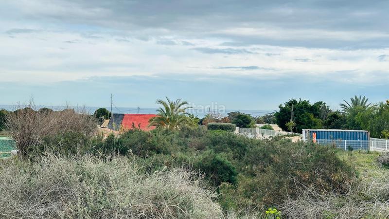 Foto 7523a508-5cd1-4692-bf11-dd2bc2e9e668. Finca rústica a La Marina Elche / Elx