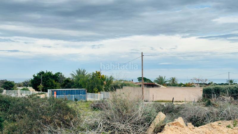 Foto aa5d4ad7-b317-44bd-9b65-ef5c53c032fe. Finca rústica a La Marina Elche / Elx