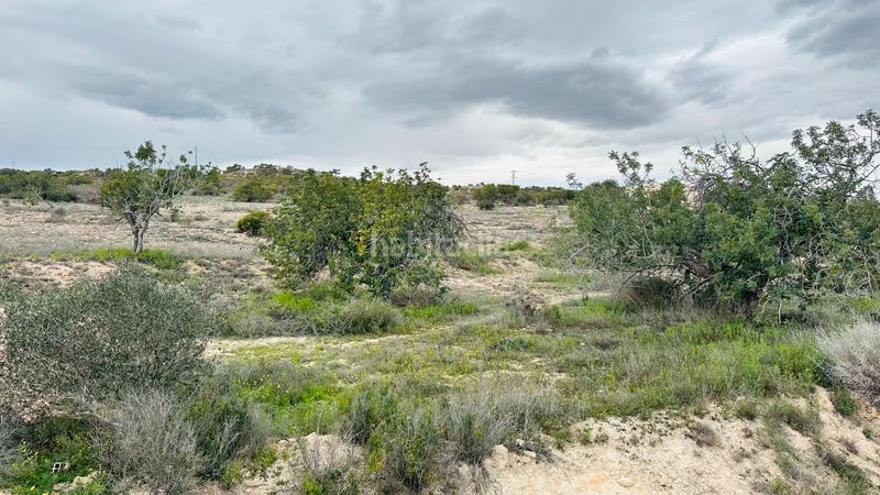 Foto bf3e118f-3f9c-4589-8eeb-01bf5b56e3cc. Finca rústica a La Marina Elche / Elx