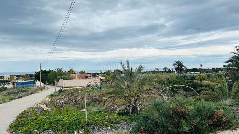 Foto c2921ad7-1436-4e30-928e-306d9e1d1fe6. Finca rústica a La Marina Elche / Elx