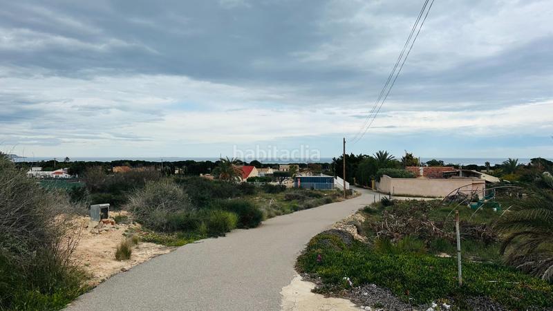 Foto d56c6ed7-c42c-46e5-9420-4b7a85d12c0e. Finca rústica a La Marina Elche / Elx