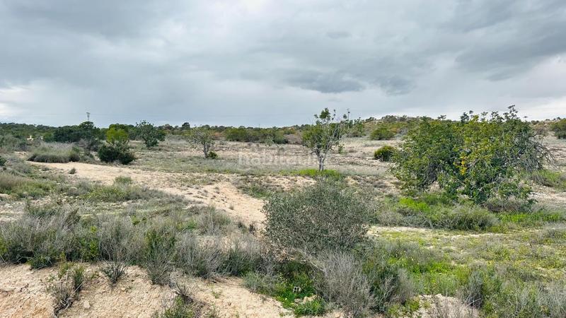 Foto e73f4cfc-d06e-43dd-8669-5bf6a5e98c20. Finca rústica a La Marina Elche / Elx