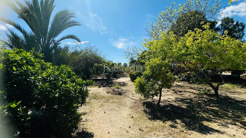 Foto 04fefea0-799f-4066-8674-2cbf7a943feb. Chalet avec piscine dans La Foia - Daimés - Asprella Elche / Elx