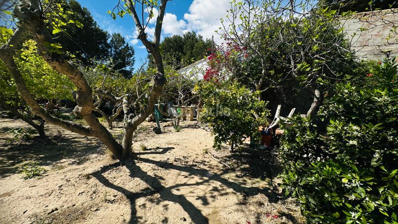 Foto 1848fdaa-1d46-4edd-9506-19d4629322aa. Chalet avec piscine dans La Foia - Daimés - Asprella Elche / Elx