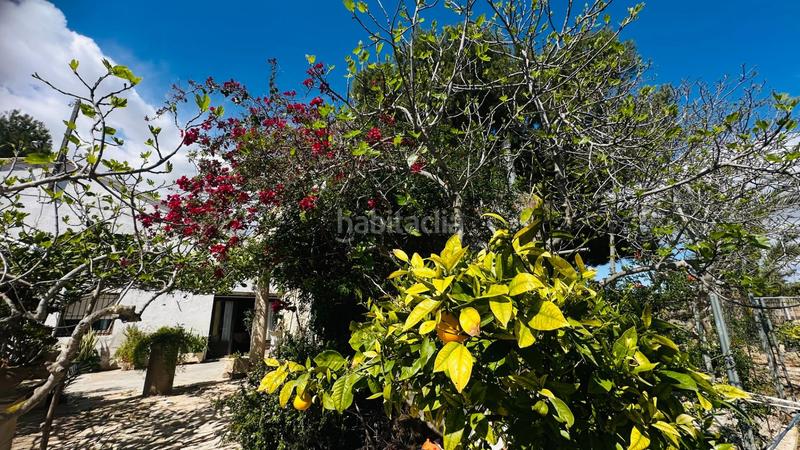 Foto 570ff1ca-412d-4b44-a83f-6fc3c43763cd. Chalet avec piscine dans La Foia - Daimés - Asprella Elche / Elx