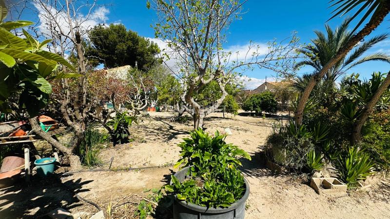 Foto 8cefb710-f7f8-4ba0-a5aa-d1398e1a297c. Chalet avec piscine dans La Foia - Daimés - Asprella Elche / Elx