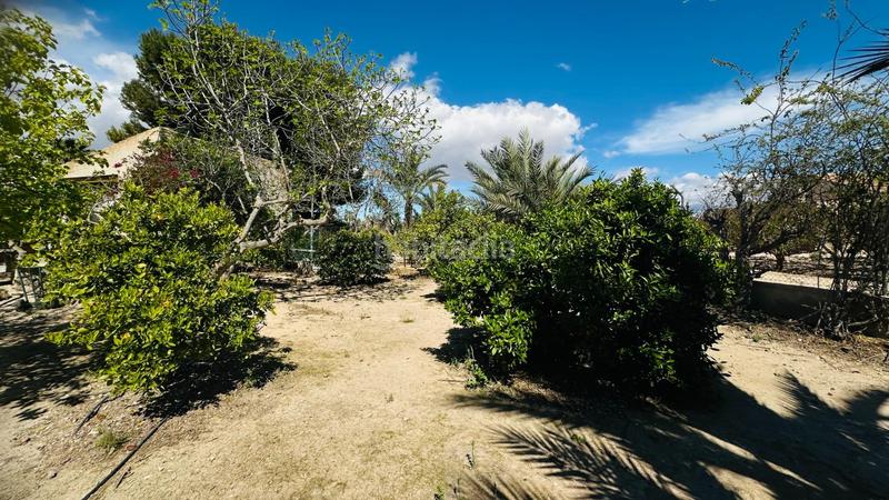 Foto 9959014a-755c-458a-91ca-12604076d956. Chalet avec piscine dans La Foia - Daimés - Asprella Elche / Elx