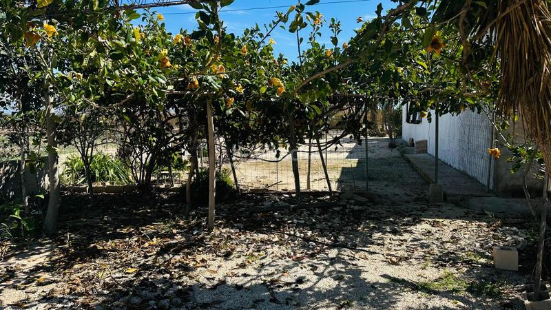 Foto bd8cf4cf-7a2e-4a52-9f9f-1514dfb60cf2. Chalet avec piscine dans La Foia - Daimés - Asprella Elche / Elx