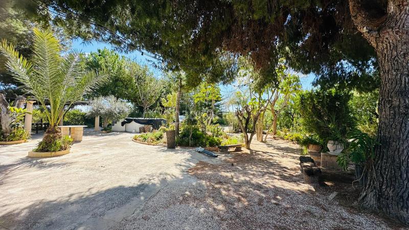 Foto bd92ae81-97a4-4ed4-9970-b0064026858b. Chalet avec piscine dans La Foia - Daimés - Asprella Elche / Elx