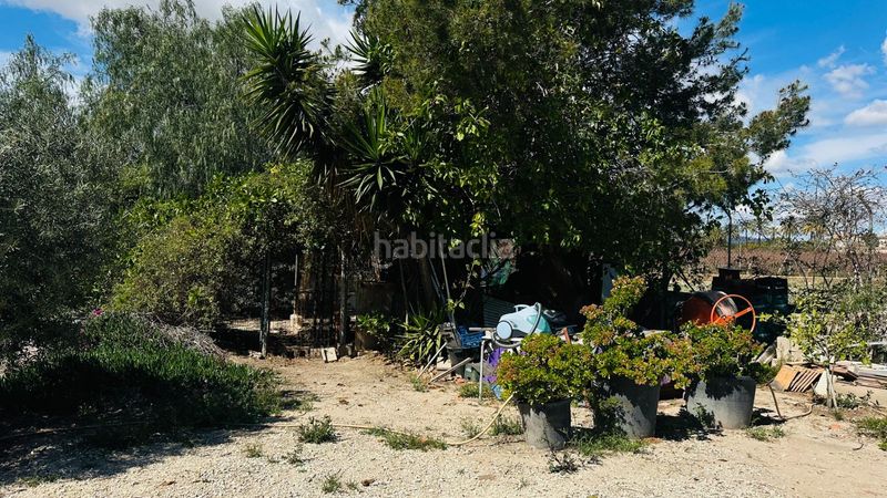 Foto c25bca43-b129-4023-b244-5aa16d7d9838. Xalet amb piscina a La Foia - Daimés - Asprella Elche / Elx