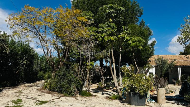 Foto c4d0f500-fd64-47f0-9c0a-2b4d6e97e63d. Chalet avec piscine dans La Foia - Daimés - Asprella Elche / Elx