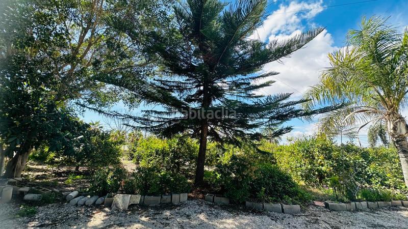 Foto eb0dd70d-7619-4af3-8d9a-0edd62c4260b. Chalet avec piscine dans La Foia - Daimés - Asprella Elche / Elx