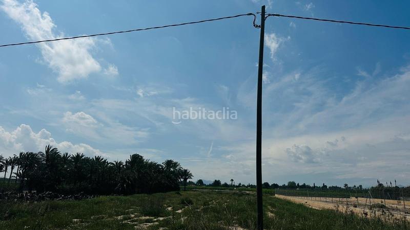 Foto 06f7a68b-3dd2-4fbe-8896-4c81fb623b25. Finca rústica a La Foia - Daimés - Asprella Elche / Elx