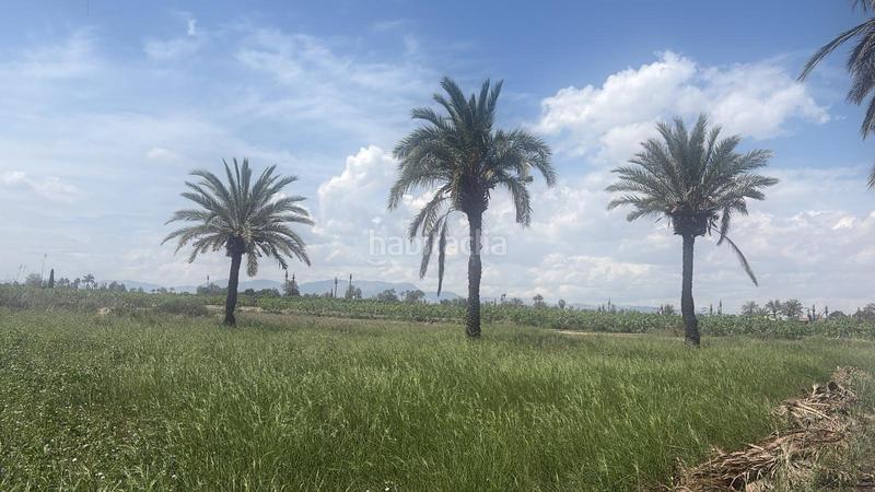 Foto 27ccefb5-cc67-4866-aef7-bf5153354778. Finca rústica a La Foia - Daimés - Asprella Elche / Elx