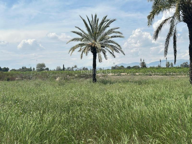 Foto 497cca30-8c40-477e-964b-db7b0874ec84. Finca rústica a La Foia - Daimés - Asprella Elche / Elx