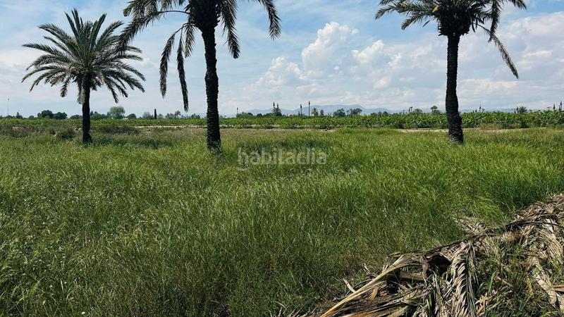 Foto 686c97ce-7dc4-4231-b1e6-48d77a56dfe5. Finca rústica a La Foia - Daimés - Asprella Elche / Elx