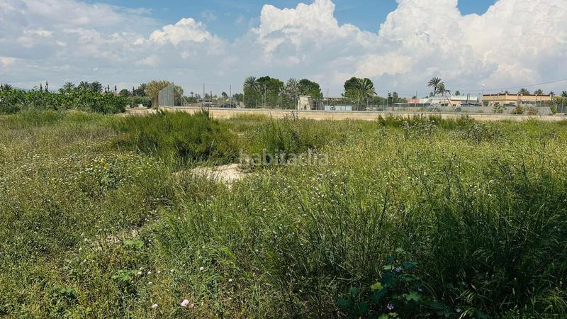 Foto 7263576d-b439-43a3-9705-014df782fd81. Finca rústica a La Foia - Daimés - Asprella Elche / Elx