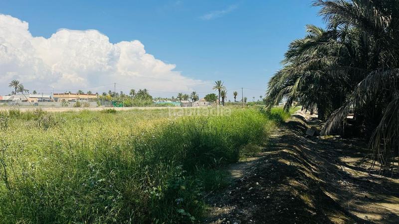 Foto 8a192f14-42a8-4771-b086-4e8b49ee85bc. Finca rústica a La Foia - Daimés - Asprella Elche / Elx