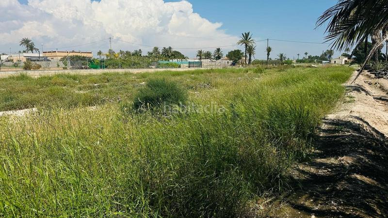 Foto 9a92971e-9227-4a11-8066-59c5ee87203c. Finca rústica a La Foia - Daimés - Asprella Elche / Elx